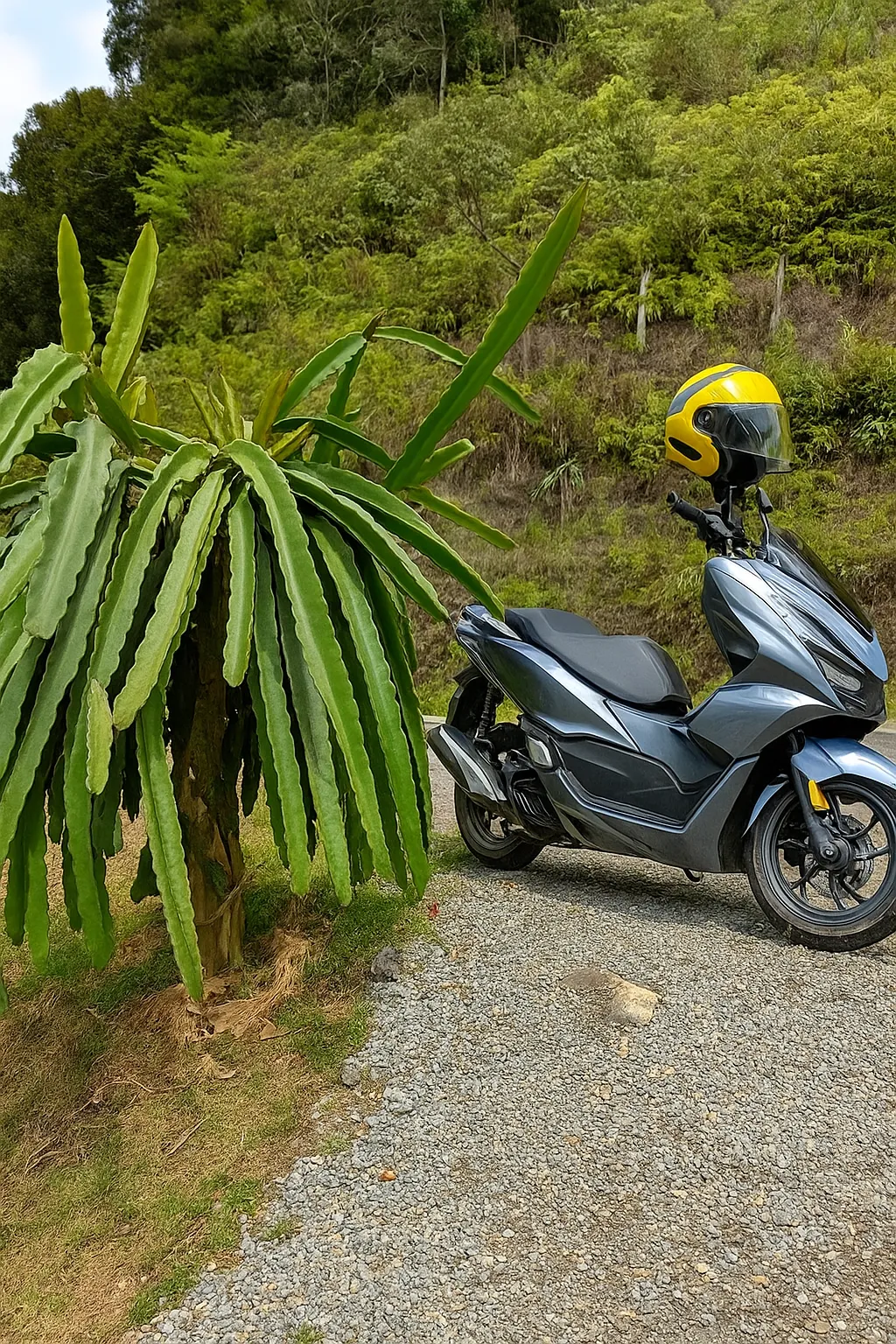  Rent a Bike (Scooter) in Phuket: Kamala